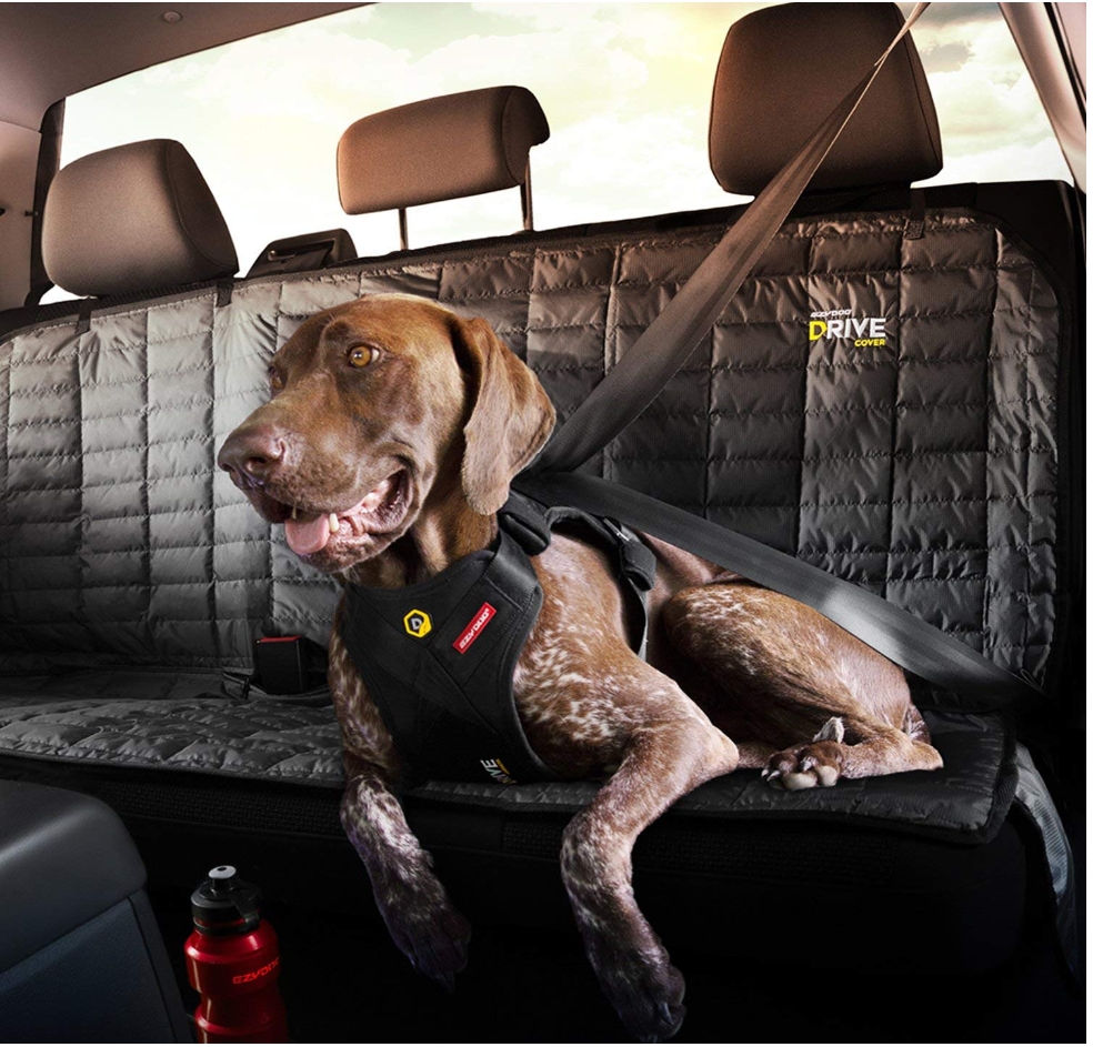 EzyDog Drive Safety Travel Dog Car Harness review
