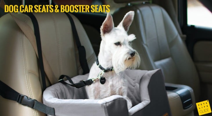 Car Seats and Booster Seats For Dogs