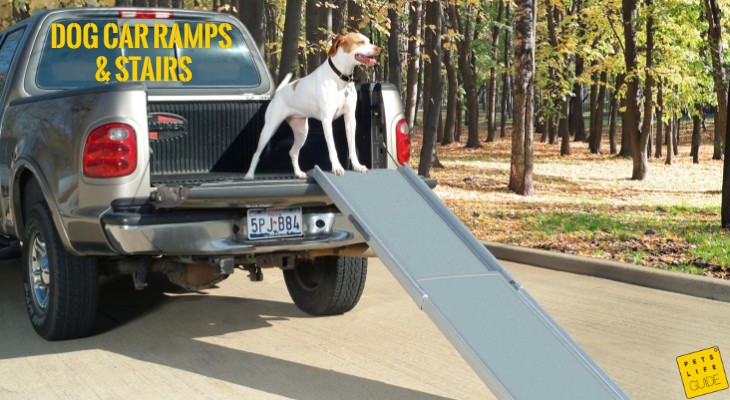 Dog Car Ramps and Stairs