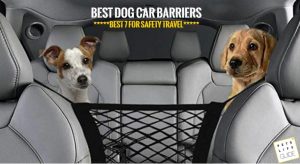 best dog car barriers