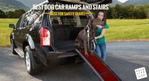 Dog ramps for gsp