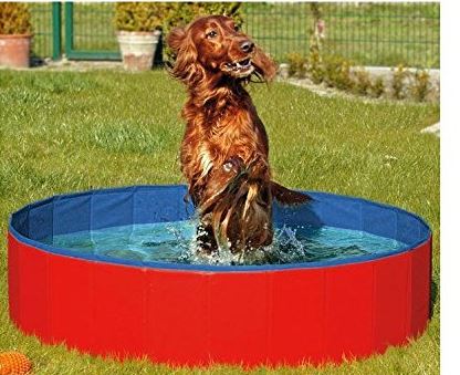 N&M Products Foldable Dog Pool
