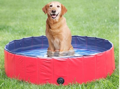 NACOCO Foldable PVC Dog Water Pool