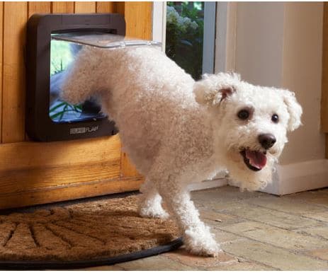 Best Automatic Dog Doors Review 2020 Pets Life Guide