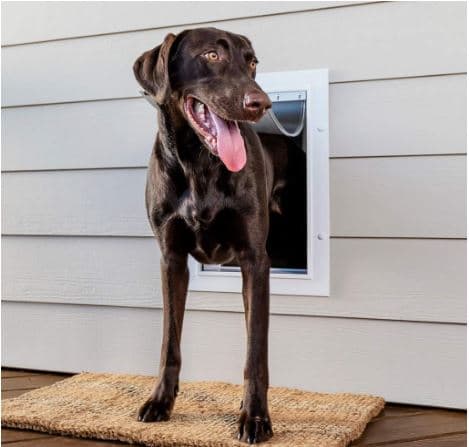 Best Automatic Dog Doors Review 2020 Pets Life Guide