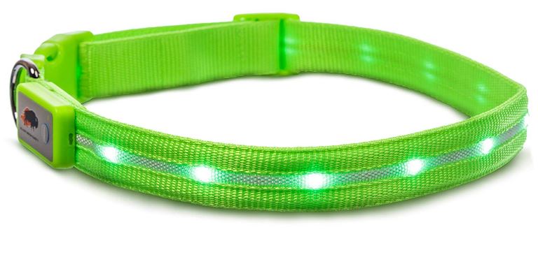 Blazin Safety LED Dog Collar – USB Rechargeable with Water Resistant Flashing Light