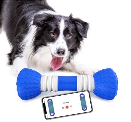 GoBone Interactive App-Enabled Smart Bone for Dogs and Puppies