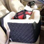 best car booster seat for a beagle