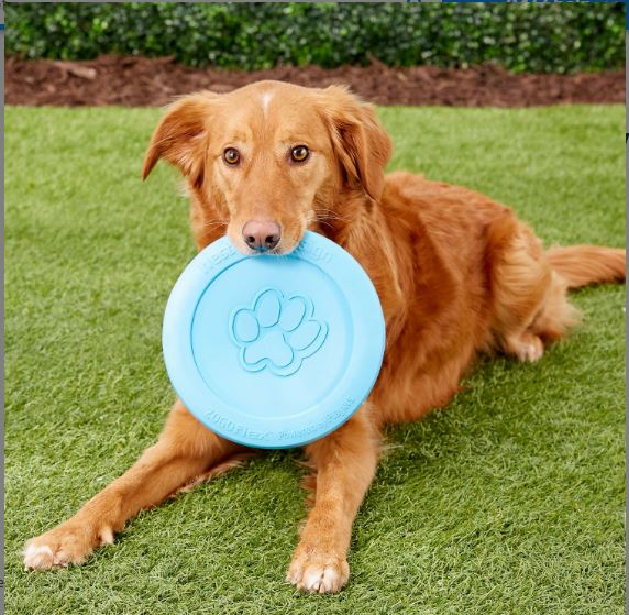 West Paw Zogoflex Durable Dog Frisbee