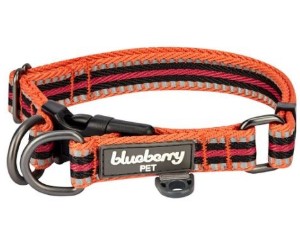 Blueberry Pet 15 Colors Safe & Comfy 3M Reflective Multi-Colored Stripe Collection review