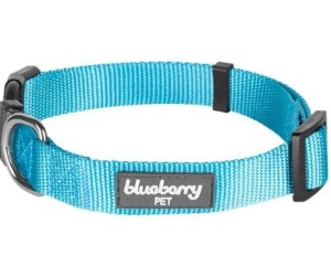 Blueberry Regular Dog Collar review