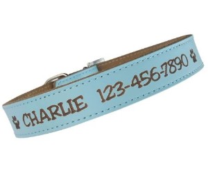 Custom Catch Personalised Dog Collar review