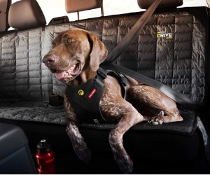 EzyDog Drive Safety Travel Dog Car Harness