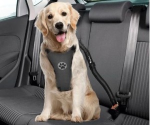 SlowTon Dog Car Harness
