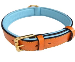 Soft Touch Collars Luxury Leather Dog Collar