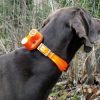 Dog Tracking Systems