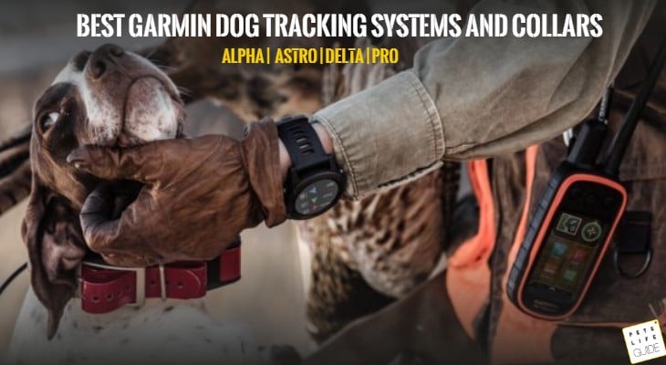Best Garmin dog tracking systems and collars (2)