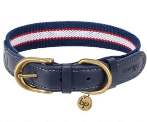Blueberry Pet Vintage Dog Collar review