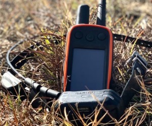 Garmin Alpha 100, Multi-Dog Tracking GPS and Remote Training Device in One