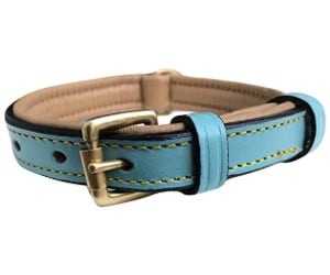 Soft Touch Collars Luxury Leather Dog Collar