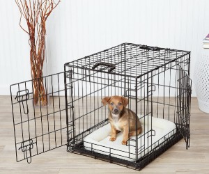 AmazonBasics Single-Door & Double-Door Folding Metal Dog or Pet Crate Kennel with Tray review