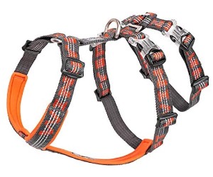 Chai's Choice Best Double H Trail Runner No-Pull Dog Harness
