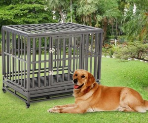 LUCKUP Heavy Duty Dog Crate Strong Metal Kennel and Crate for Large Dogs review