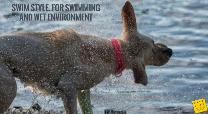 Waterproof collar for Labrador