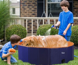 Fuloon PVC Pet Swimming Pool review