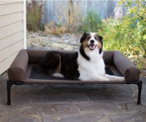 K&H PET PRODUCTS Original Bolster Elevated Pet Bed review