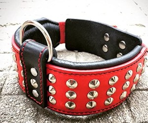Bestia Genuine Leather Dog Collar with Studs and Soft Leather Cushion