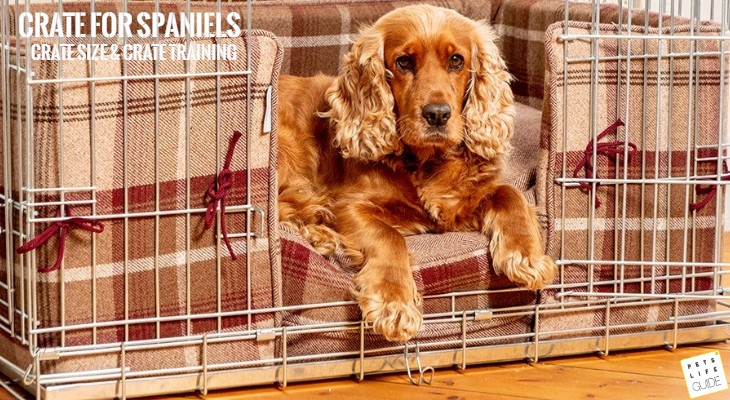 Choosing Crate for Spaniels_ Size, Training, Gear