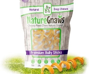 Nature Gnaws Bully Stick Springs review