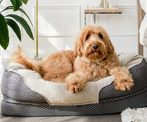  BarksBar Snuggly Sleeper - Orthopedic Dog Bed 