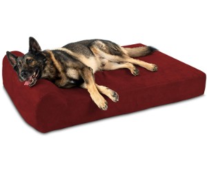 Big Barker Dog Bed, Headrest Edition review