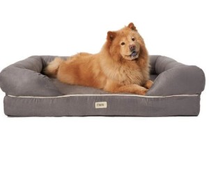Friends Forever Orthopedic Dog Bed Lounge review
