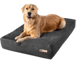 Big Barker Dog Bed, Sleek Edition