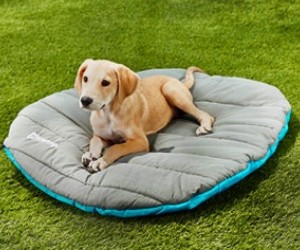 Chuckit! Travel Dog Bed review