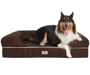 Friends Forever Orthopedic Dog Bed Lounge