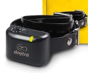 Dogtra YS300 Compact No Bark Collar review
