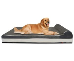 Laifug Orthopedic Memory Foam Dog Bed review