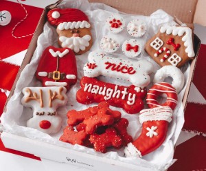 Wüfers Christmas Box Dog Cookie Treats