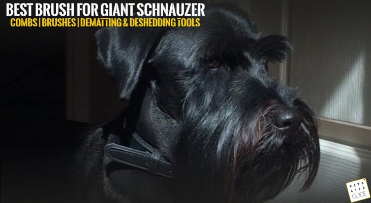 best brush for giant schnauzer