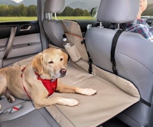 Kurgo Dog Backseat Bridge review