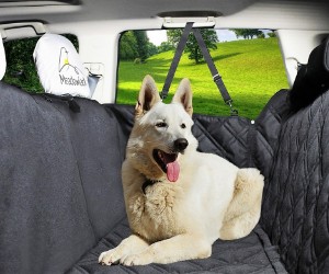 Meadowlark Dog Seat Cover with Unique Design review