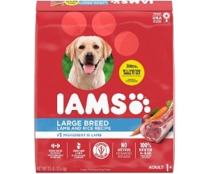 IAMS Proactive Health Large Adults review