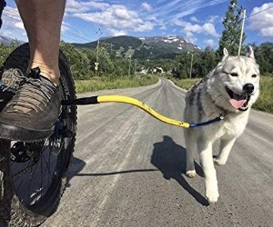 Bike Tow Leash - Dog Bike Leash review