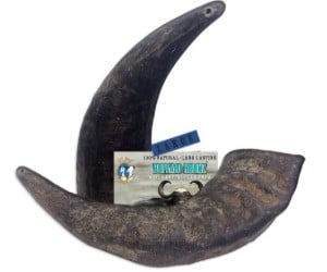 Buffalo Hornz - Buffalo Horn Chews review