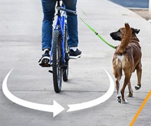 MALABI V2.0 EasyRide Dog Bike Leash review