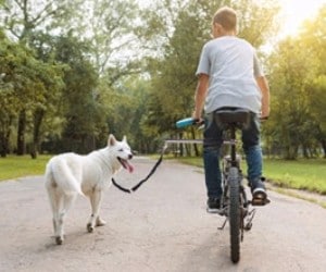 ODIER Bike Dog Leash review